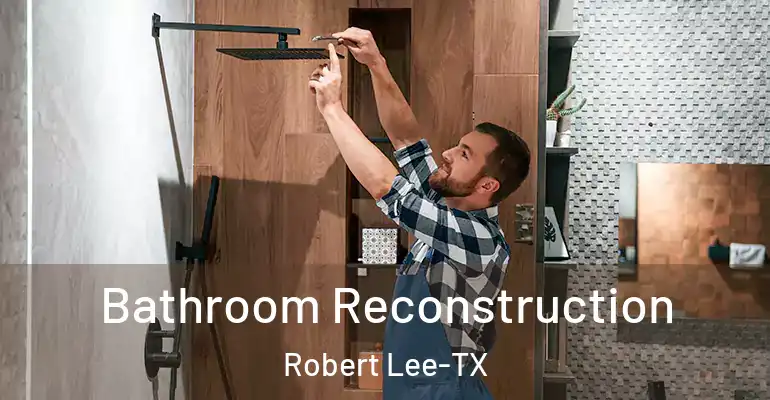inner Bathroom imggen Bathroom Reconstruction Robert Lee-TX