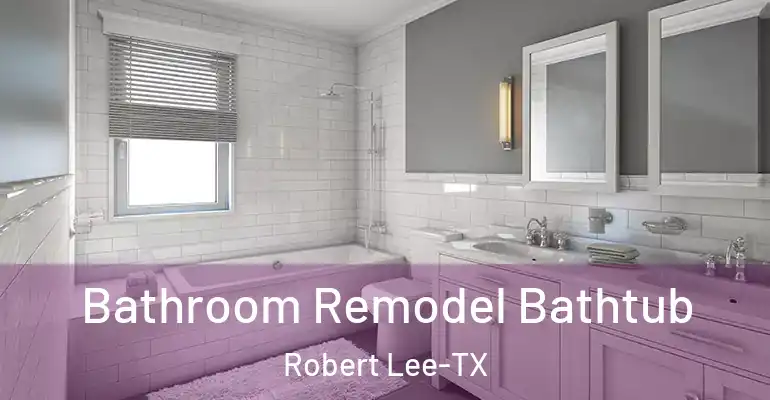 inner Bathroom imggen Bathroom Remodel Bathtub Robert Lee-TX