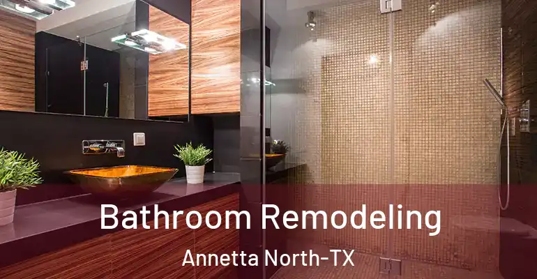 inner Bathroom imggen Bathroom Remodeling Annetta North-TX