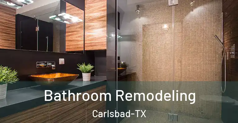 inner Bathroom imggen Bathroom Remodeling Carlsbad-TX