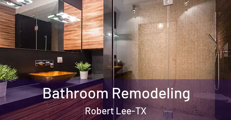 inner Bathroom imggen Bathroom Remodeling Robert Lee-TX