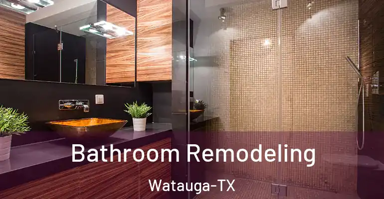 inner Bathroom imggen Bathroom Remodeling Watauga-TX