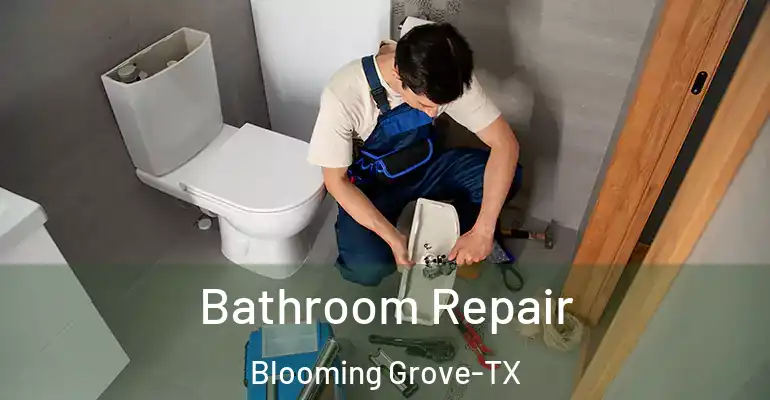 inner Bathroom imggen Bathroom Repair Blooming Grove-TX