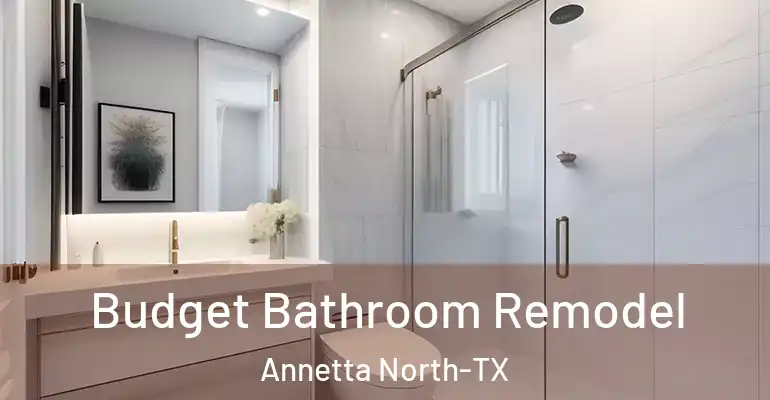 inner Bathroom imggen Budget Bathroom Remodel Annetta North-TX