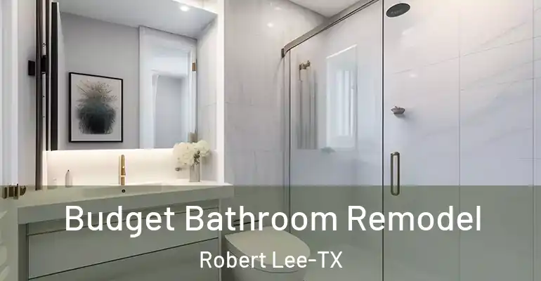 inner Bathroom imggen Budget Bathroom Remodel Robert Lee-TX