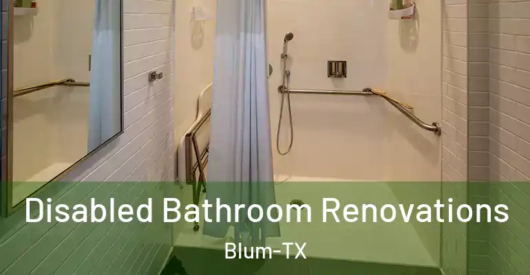 inner Bathroom imggen Disabled Bathroom Renovations Blum-TX
