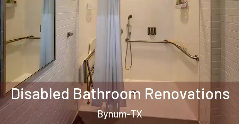 inner Bathroom imggen Disabled Bathroom Renovations Bynum-TX