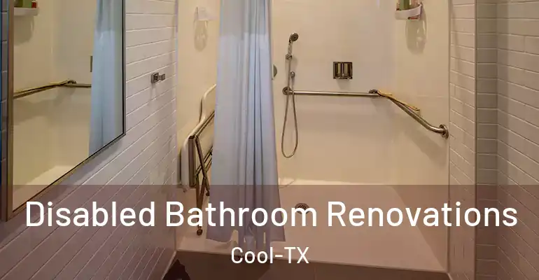 inner Bathroom imggen Disabled Bathroom Renovations Cool-TX