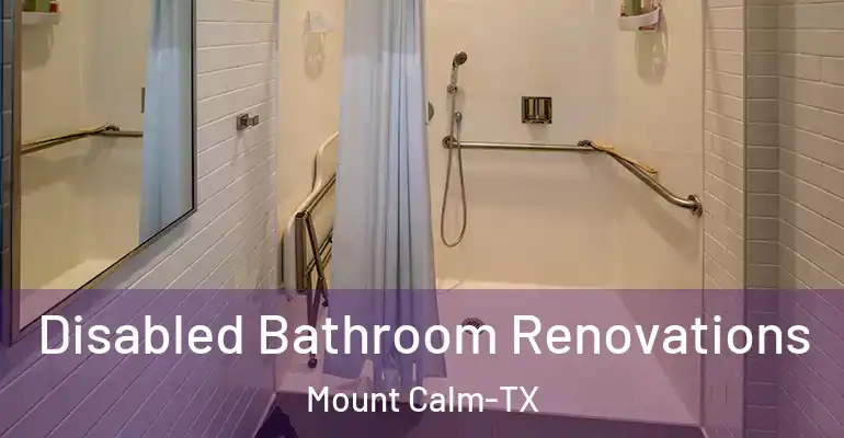inner Bathroom imggen Disabled Bathroom Renovations Mount Calm-TX