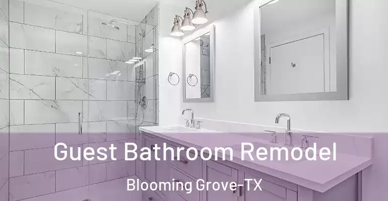 inner Bathroom imggen Guest Bathroom Remodel Blooming Grove-TX