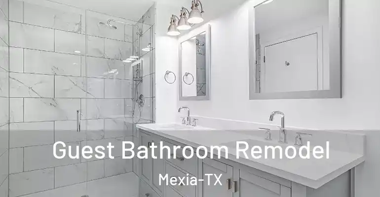 inner Bathroom imggen Guest Bathroom Remodel Mexia-TX