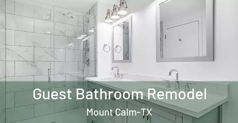 inner Bathroom imggen Guest Bathroom Remodel Mount Calm-TX