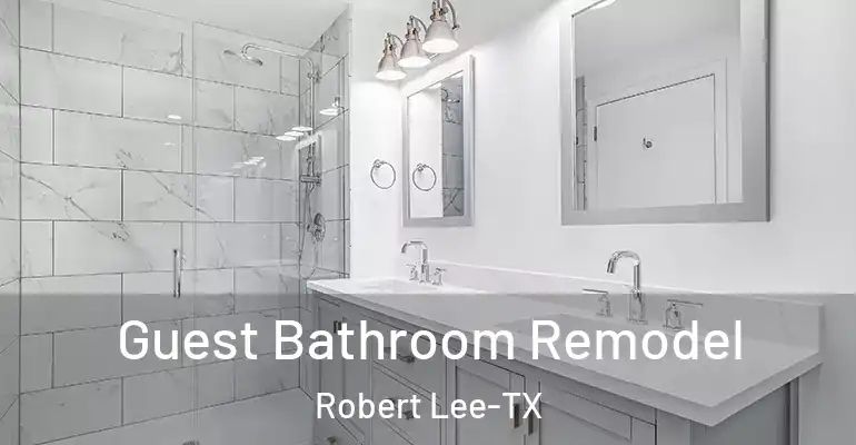 inner Bathroom imggen Guest Bathroom Remodel Robert Lee-TX