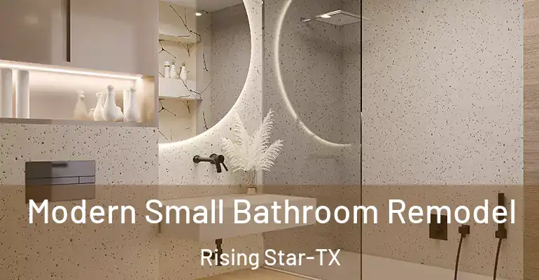 inner Bathroom imggen Modern Small Bathroom Remodel Rising Star-TX