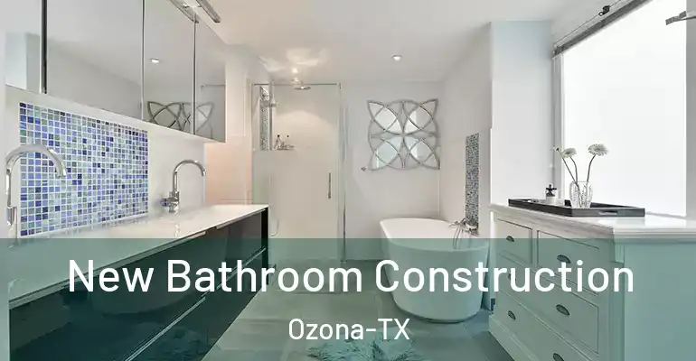 inner Bathroom imggen New Bathroom Construction Ozona-TX