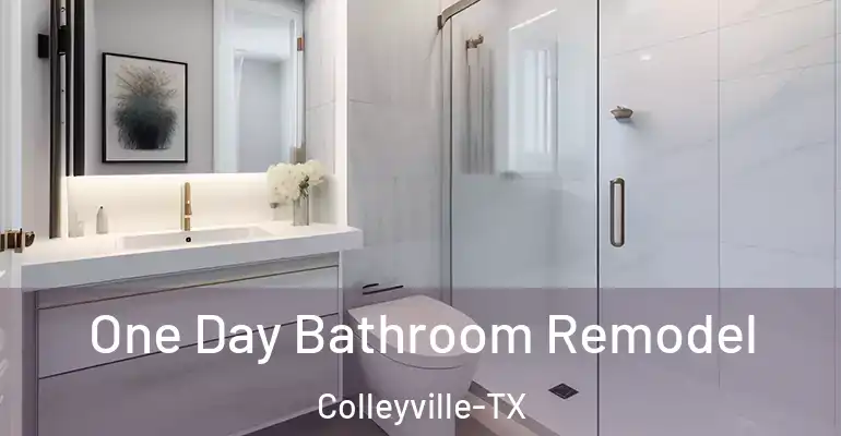 inner Bathroom imggen One Day Bathroom Remodel Colleyville-TX