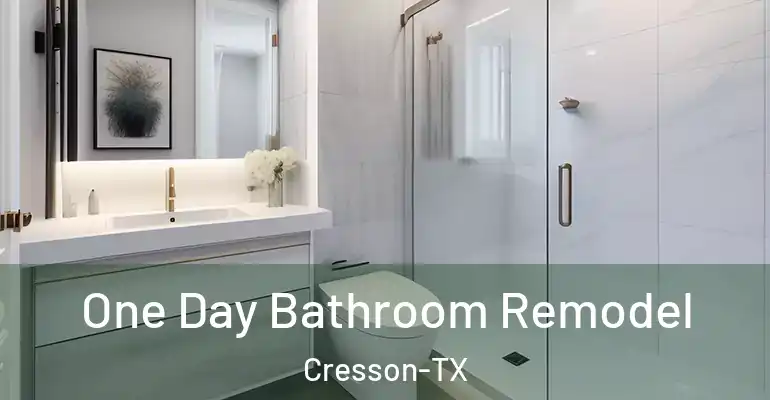 inner Bathroom imggen One Day Bathroom Remodel Cresson-TX