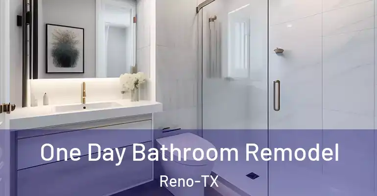 inner Bathroom imggen One Day Bathroom Remodel Reno-TX