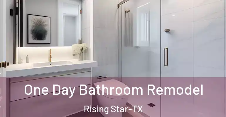 inner Bathroom imggen One Day Bathroom Remodel Rising Star-TX