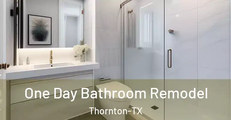 inner Bathroom imggen One Day Bathroom Remodel Thornton-TX