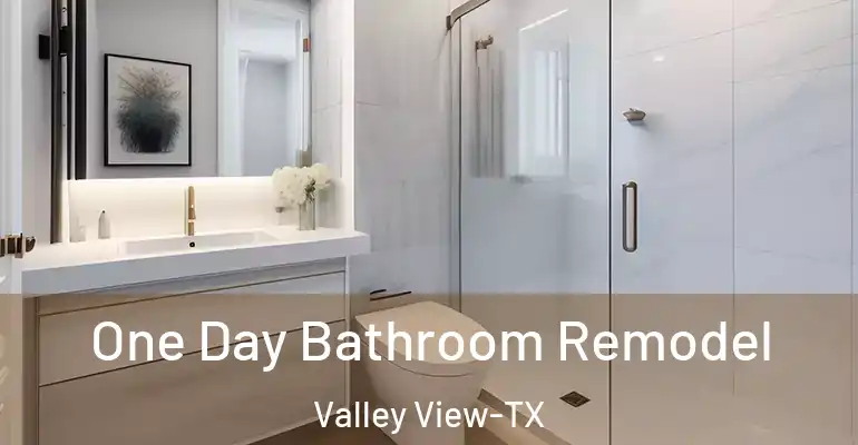inner Bathroom imggen One Day Bathroom Remodel Valley View-TX