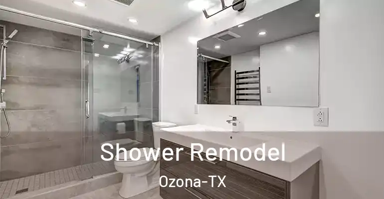 inner Bathroom imggen Shower Remodel Ozona-TX