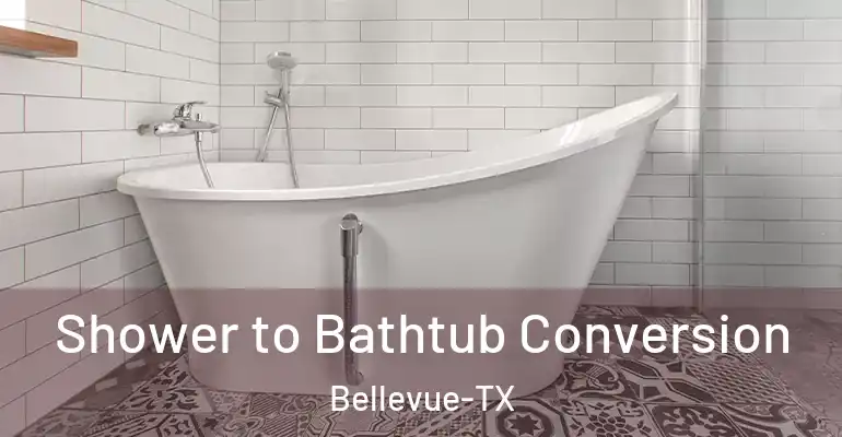 inner Bathroom imggen Shower to Bathtub Conversion Bellevue-TX