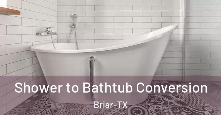inner Bathroom imggen Shower to Bathtub Conversion Briar-TX