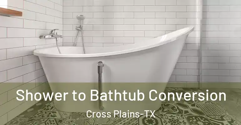 inner Bathroom imggen Shower to Bathtub Conversion Cross Plains-TX