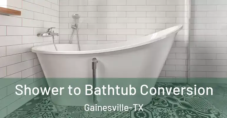 inner Bathroom imggen Shower to Bathtub Conversion Gainesville-TX
