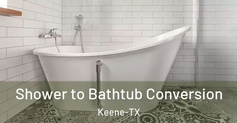 inner Bathroom imggen Shower to Bathtub Conversion Keene-TX