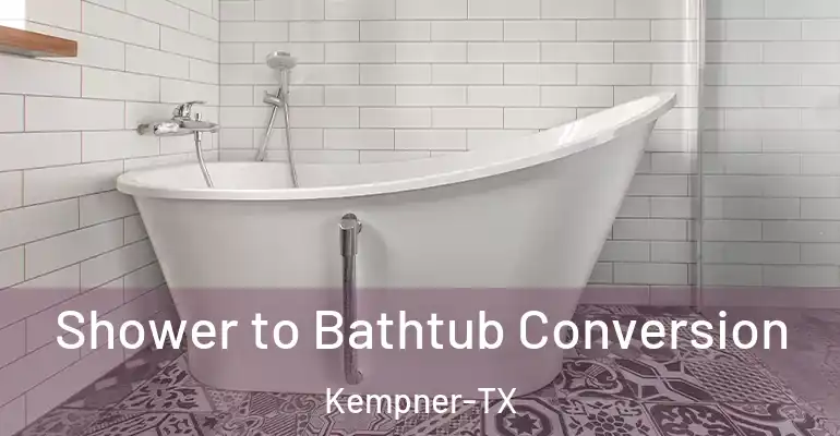 inner Bathroom imggen Shower to Bathtub Conversion Kempner-TX