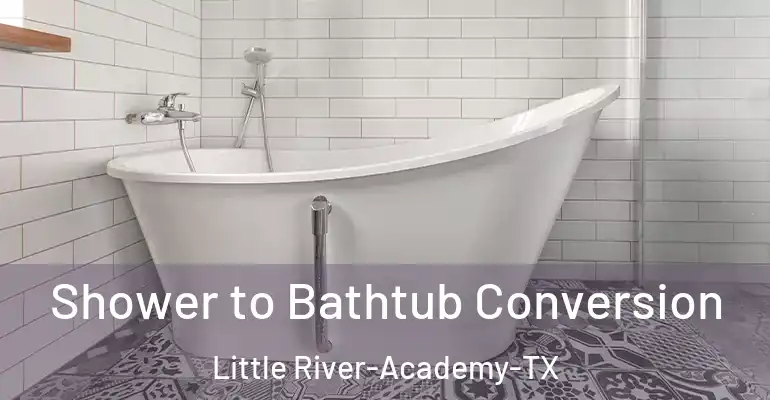 inner Bathroom imggen Shower to Bathtub Conversion Little River-Academy-TX