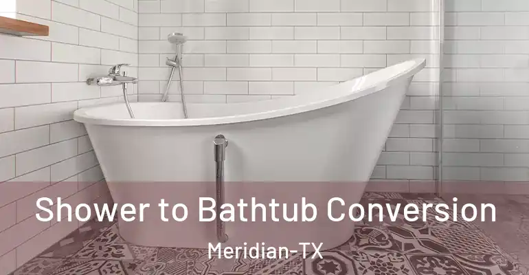 inner Bathroom imggen Shower to Bathtub Conversion Meridian-TX