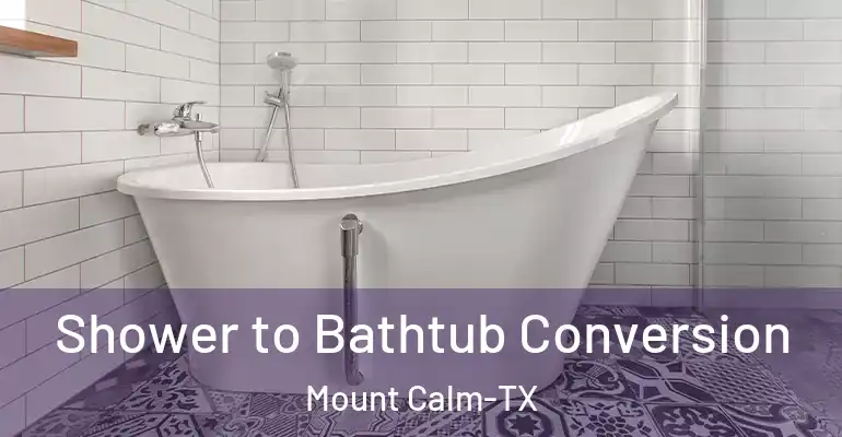 inner Bathroom imggen Shower to Bathtub Conversion Mount Calm-TX