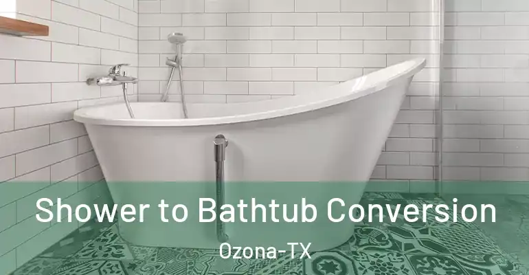 inner Bathroom imggen Shower to Bathtub Conversion Ozona-TX