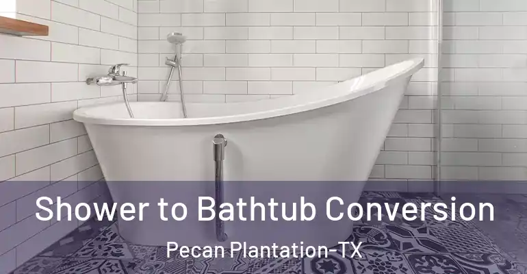 inner Bathroom imggen Shower to Bathtub Conversion Pecan Plantation-TX