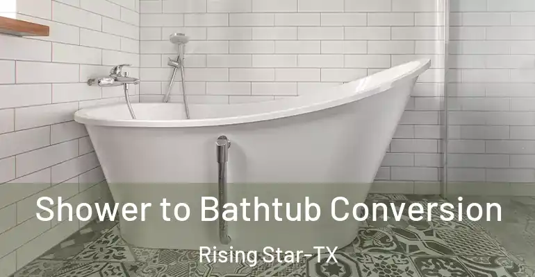 inner Bathroom imggen Shower to Bathtub Conversion Rising Star-TX