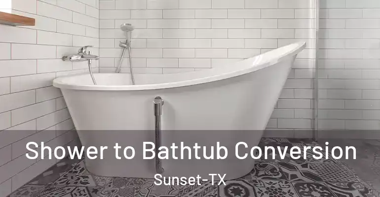inner Bathroom imggen Shower to Bathtub Conversion Sunset-TX