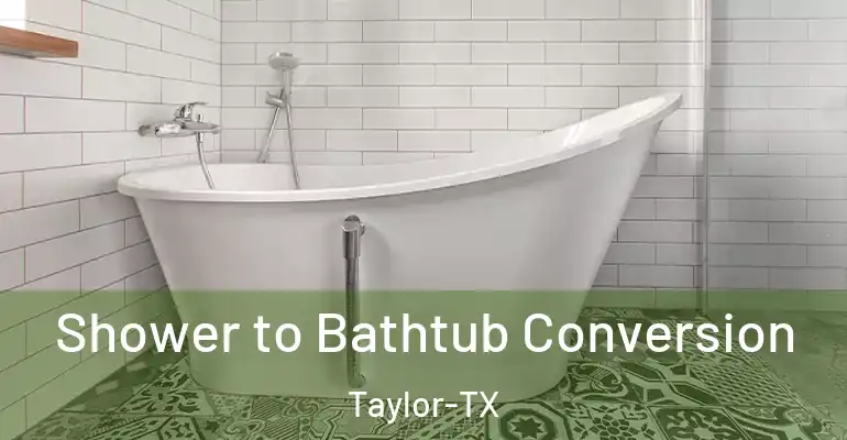 inner Bathroom imggen Shower to Bathtub Conversion Taylor-TX