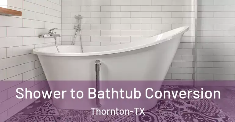 inner Bathroom imggen Shower to Bathtub Conversion Thornton-TX