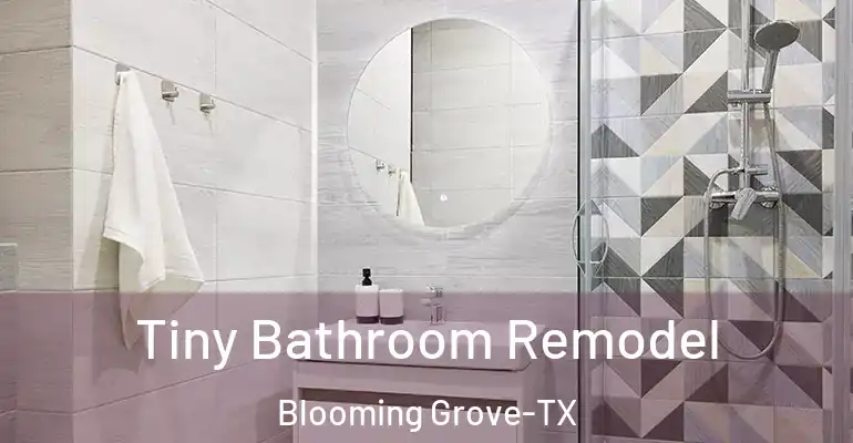 inner Bathroom imggen Tiny Bathroom Remodel Blooming Grove-TX