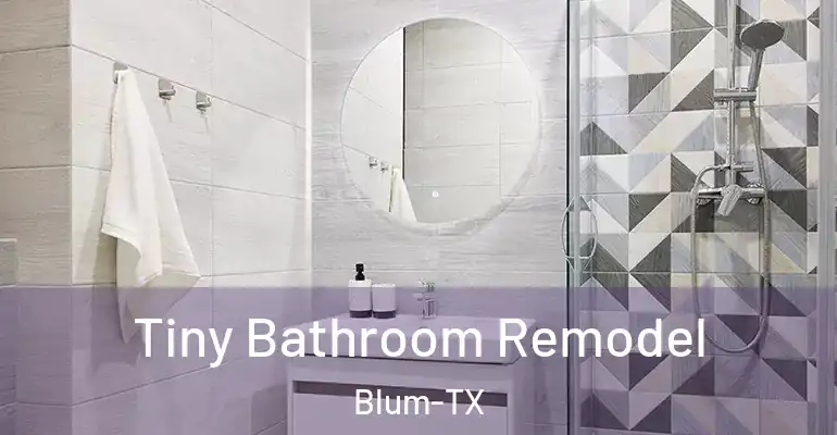 inner Bathroom imggen Tiny Bathroom Remodel Blum-TX