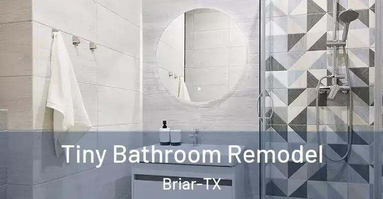 inner Bathroom imggen Tiny Bathroom Remodel Briar-TX