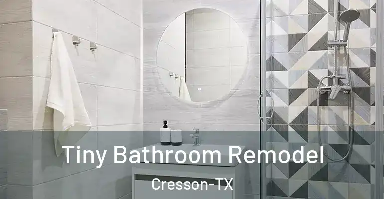 inner Bathroom imggen Tiny Bathroom Remodel Cresson-TX
