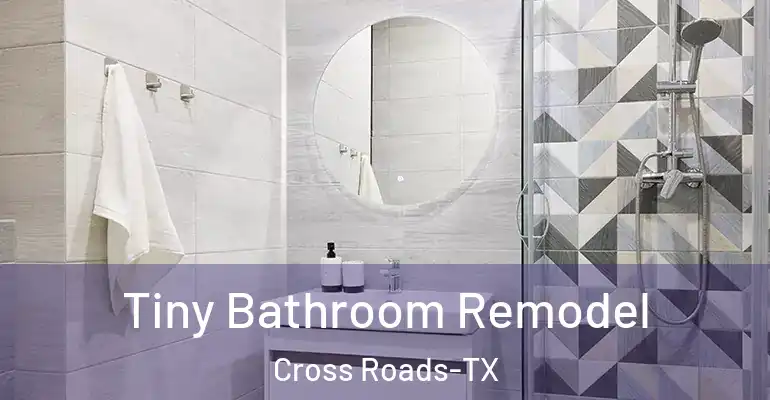 inner Bathroom imggen Tiny Bathroom Remodel Cross Roads-TX