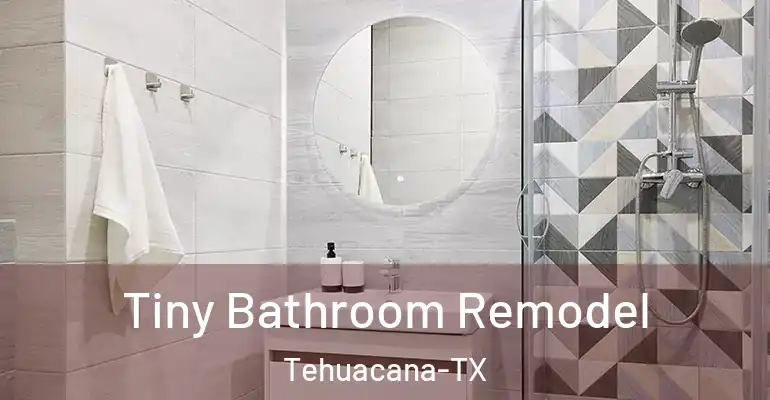 inner Bathroom imggen Tiny Bathroom Remodel Tehuacana-TX