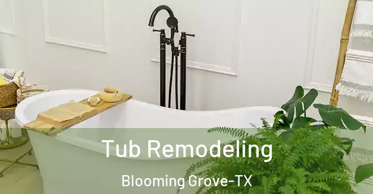 inner Bathroom imggen Tub Remodeling Blooming Grove-TX
