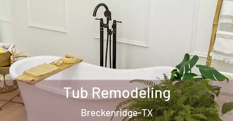 inner Bathroom imggen Tub Remodeling Breckenridge-TX