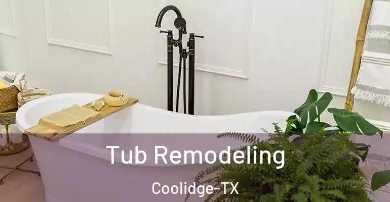 inner Bathroom imggen Tub Remodeling Coolidge-TX